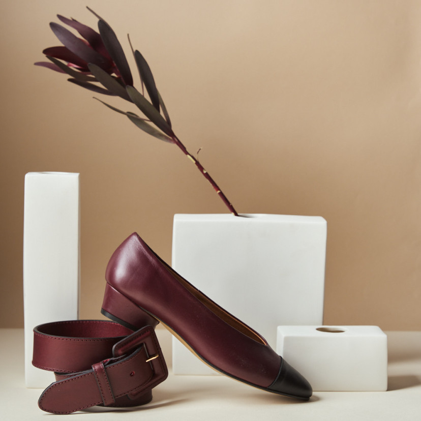 Ballerina Ameliè Bicolor Pointed Toe...