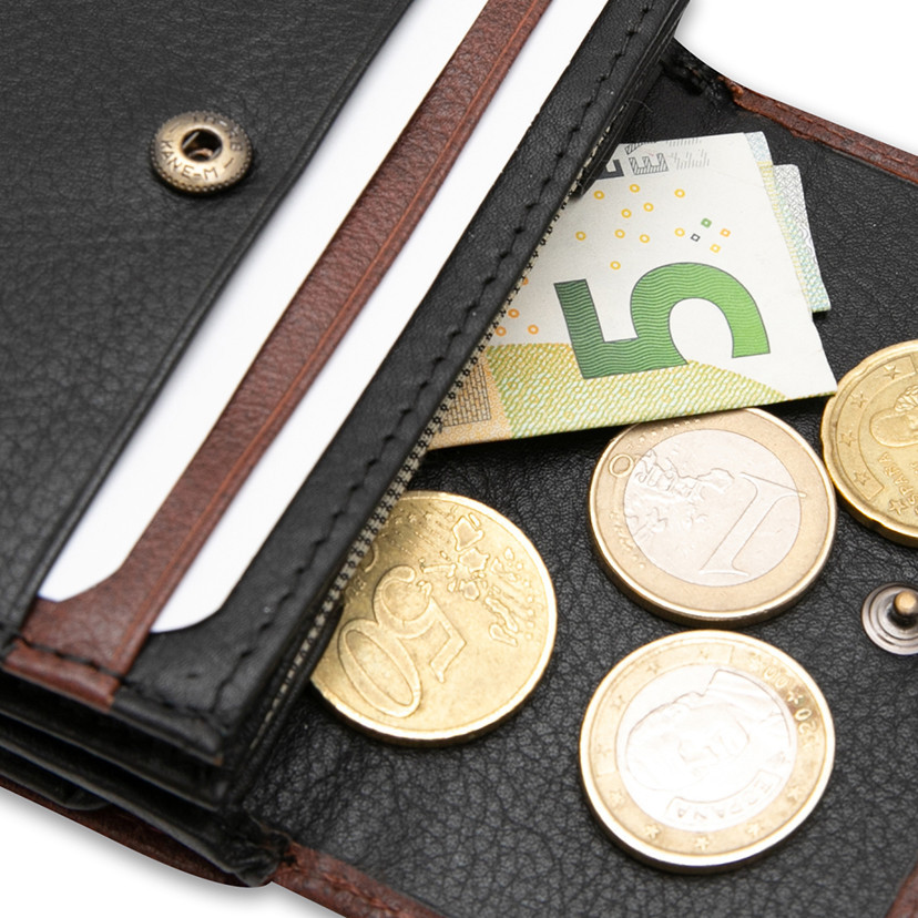 Basic Wallet with Coin Purse