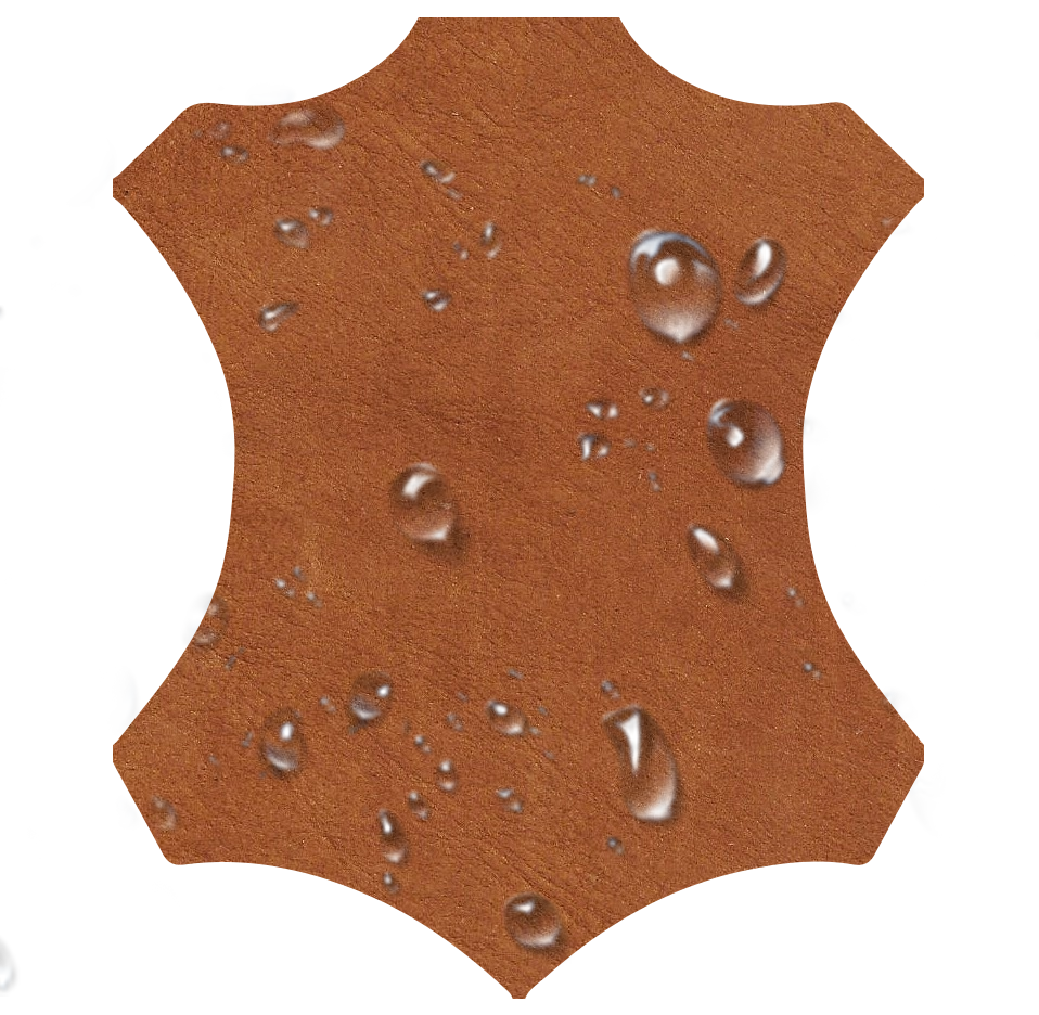 piel_agua.png