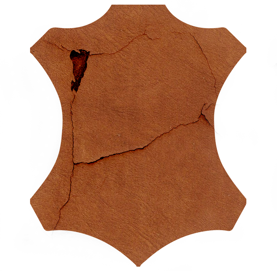 piel_seca.png
